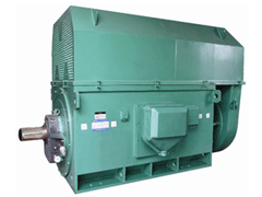 Y5003-2/1400KWYKK系列高压电机