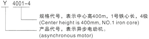 西安泰富西玛Y系列(H355-1000)高压Y5003-2/1400KW三相异步电机型号说明